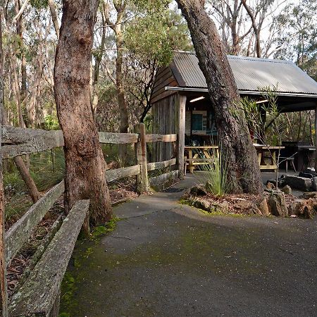 Jemby Rinjah Ecolodge Blackheath Zewnętrze zdjęcie