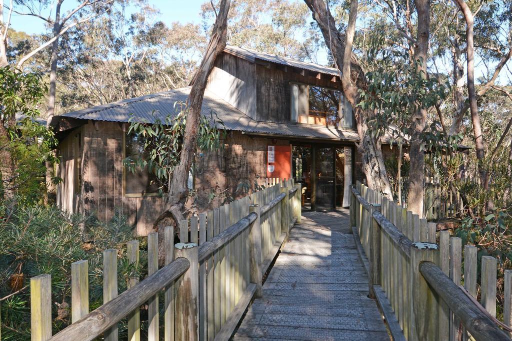 Jemby Rinjah Ecolodge Blackheath Pokój zdjęcie
